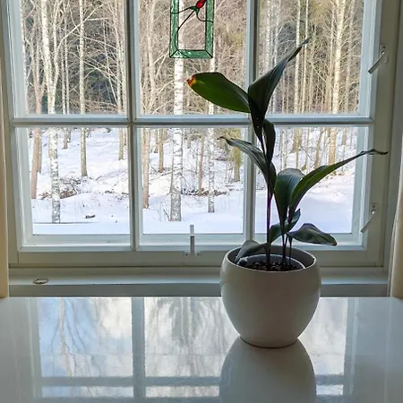Wiisalan Kartano Bed and Breakfast