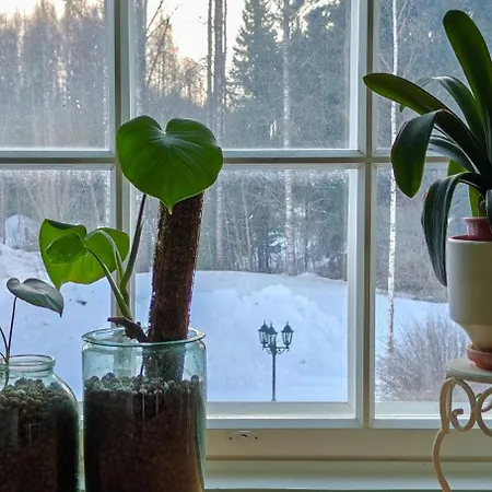 Bed and Breakfast Wiisalan Kartano Savonlinna