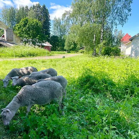 Nocleg ze śniadaniem Wiisalan Kartano Savonlinna